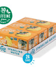 Nixie Sparkling Water Peach Black Tea Lightly Caffeinated 30mg  12 fl oz cans 24 pack  Organic Vegan NonGMO Gluten Free 0 Calories 0 Sugar 0 Sodium