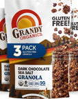 Grandy Organics Dark Chocolate Sea Salt Granola Certified Organic Granola Gluten Free NonGMO Certified Kosher Plant Based Protein Granola 12oz Each Pack of 3