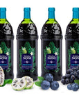 TAHITIAN NONI Juice by Morinda Original and Authentic Noni Fruit Puree from Tahiti with Natural Blueberry  Grape Resveratrol AllNatural Daily Wellness Drink  4 One Liter Juice Bottles Per Case