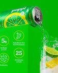 POPPI Sparkling Prebiotic Soda Beverages wApple Cider Vinegar Seltzer Water  Fruit Juice Lemon Lime 12oz 12 Pack