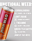 GYM WEED Adaptogens  Caffeine Drink  Mango Razz 12pk  Focus Fuel No Jitters  Ashwagandha Lions Mane LTheanine Green Tea Caffeine with Zero Sugar  12 fl oz