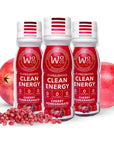 Wholesome Organics Focus Energy Drink Shots - Stress Relieving, No Jitters, No Crash, Ashwagandha, Vitamin B12, Functional Mushrooms, No Sugar - 2.5 FL Oz Cherry Pomegranate Flavor (3 Pack)