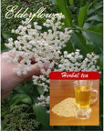 Elderflower bulk Make Healthy herbal Tea for 75 cups or for make Herbal Tea Bread Elderflower Jelly or Cookies delicious 75 grams Bulk