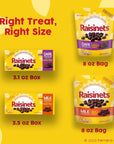 Raisinets Milk Chocolate Covered California Raisins Movie Theater Candy Box 31 oz each Bulk 15 Pack