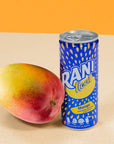 Rani Float Mango Fruit Juice Drink 100 Fruit Juice Content with Real Mango Chunks Imported from Dubai No Added Sugar No Artificial Colors 8oz Pack of 24