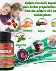 Forskolin Supplements Capsules 5000mg, 5 Month Supply, 150 Capsules & Turmeric Curcumin, Arjuna, Garcinia Cambogia, Green Tea - Support Body Management & Immune System - Coleus Forskohlii Extract