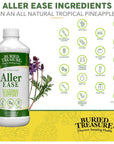 Buried Treasure Aller-Ease Herbal Allergy Relief High Potency Liquid Formula with Vitamins, Minerals and Herbal Blend of Bayberry Eyebright Mullen MSM Zinc 16 oz