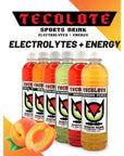 TECOLOTE Sports Drink  Ultimate Electrolyte Hydration Zero Calorie  Sugar Free Energy Boost for Athletes Variety  169 fl oz Pack of 12