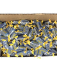 SECRET CANDY SHOP Jolly Rancher Flavor Hard Candy Bulk in Box Individually Wrapped Blue Raspberry Flavor 1lb