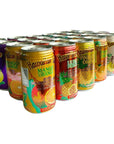 Hawaiian Sun Premium Tropical Juice Drink Party Bundle of 10 Assorted Flavors (24 Cans Total)