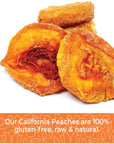 Dried Peaches No Sugar Added 1 Pound Dehydrated Peaches Fresh and Unsweetened Extra Fancy California Grown Dried Peaches All Natural NonGMO 16 Ounces