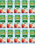 Motts for Tots Apple Juice Boxes 16 Count with Bay Area Marketplace Napkins