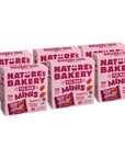 Natures Bakery Fig Bar Minis Raspberry Whole Grain Vegan Friendly Kosher NonGMO 10 Ounce Pack of 6