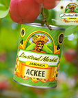 Linstead Market Ackee 19oz