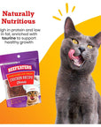 Beefeaters Cat Treat  Chicken Fillet Recipe Shreds 141oz Case of 12  Real Cat Food No SugarSoyCornWheat  High Protein  Taurine  Training Treats  No Artificial Additives