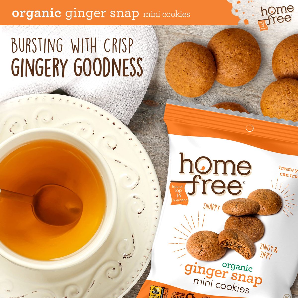 Homefree Mini Ginger Snap Cookies Organic Gluten Free Nut Free Vegan Individually Wrapped Packs School Safe and Allergy Friendly Snack 095 oz Pack of 10