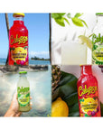 Calypso Lemonades Made with Real Fruit and Natural Flavors  4 Flavor Variety16 Fl Oz Pack of 8