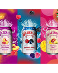 Waterloo Sparkling Fruit Flavored Water MultiFlavor Variety Pack  Zero Calorie  Zero Sugar  Zero Sodium  Zero Calories  Naturally flavored 12 Fl Oz with Fitluv packaging 8 Flavor Variety Pack of 24