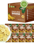 ONETANG FreezeDried Fruit Banana Chips 10 Pack SingleServe Pack Non GMO Kosher No Add Sugar Gluten free Vegan Healthy Snack 052 Ounce