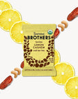 Bearded Brothers Vegan Organic Food Bar | Gluten Free, Paleo and Whole 30 | Soy Free, Non GMO, Low Glycemic, No Sugar Added, Packed with Protein, Fiber, Whole Foods | Lemon Cashew | 12 Pack