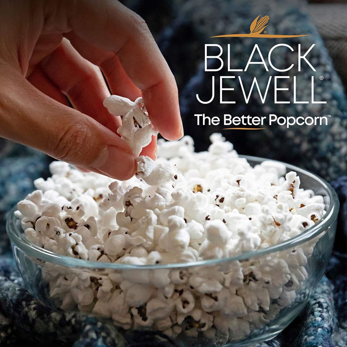 Black Jewell Popcorn Kernels 15 Ounces 15 Ounce Pack of 4