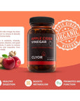 CLYOR Apple Cider Vinegar Pills | Detox, & Cleanse with Turmeric & Ginger | Healthy Digestion, Professional Strength Organic | 60 500mg ACV Vegan, Kosher | Made in The USA