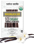 Madagascar Vanilla Beans - 10 Premium Gourmet Whole Pods - For Restaurants and Home Baking, Cooking, Dessert Crafting, Beverages and Making Vanilla Extract - Native Vanilla