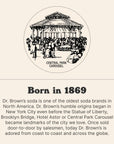 Dr Browns Draft Style Root Beer Soda  A New York Original  24 Cans Kosher Gourmet Soda Pop  Root Beer Craft Soda  24 x 12 oz Cans