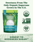 Florida Crystals Organic Powdered Raw Cane Sugar, 16 OZ Pouch (Pack of 2)