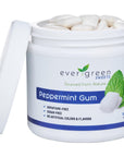 Evergreen Sweets Chewing gum 100 Count Jar  Natural Peppermint Gum Made with Xylitol and Stevia  SugarFree Aspartame Free and Vegan