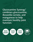 Standard Process Glucosamine Synergy - Whole Food RNA Supplement and Joint Support with Cyanocobalamin, Cholecalciferol, Shiitake, Manganese, Rice Bran, Organic Carrots - 90 Capsules