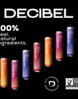 DECIBEL Prebiotic Energy Drink  Healthy Functional Energy Supports Gut Health and Digestion with 5g of Prebiotic Fiber No Added Sugar No Artificial Ingredients Variety 12 Cans