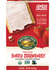 Nature’s Path Organic Frosted Berry Strawberry Toaster Pastries, 11 Ounce (Pack of 12), Non-GMO, Made with Real Strawberries