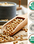 Be Still Farms Organic Soybeans Bulk 48 lb  Soy Beans Dry  aka Soya Nuts Great for Edamame Soy Milk Tofu  High in Protein Fiber  USA Grown  USDA Certified  Vegan  NonGMO  Gluten Free