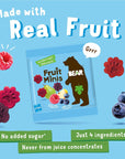 BEAR Real Fruit Snack Minis, Raspberry/Blueberry, No added Sugar, All Natural, Bite Sized Snacks for Kids, Non GMO, Gluten Free, Vegan, 0.7 Oz (Pack of 18)