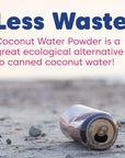 Wilderness Poets Organic Evaporated Coconut Water Powder  100 Coconut Water Powder  No Maltodextrin No Fillers No Additives  1 Ingredient  Instant Mix 4 Ounce