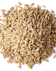 Food to Live Whole Grain Oat Groats  Oat Berries in Bulk Kosher Hulless Seeds Rich in Protein Soluble Fiber Suited for Grinding Great for Hot Cereal Pilafs Salads and Stews Vegan