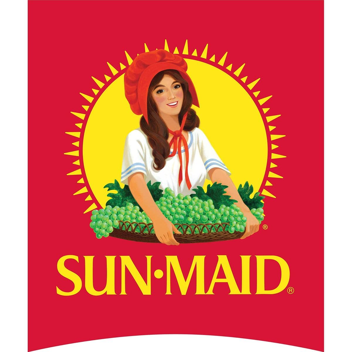 SunMaid California Dried Raisins Mini Snack Packs 5 oz boxes6 ct Pack of 2