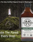 Woodcutters Bitters Douglas Fir Beverage Syrup USDA Organic A Riveting Syrup With The Taste of The Forest In Every Drop 85 oz  IncludesFree Cinnamon from Rhino Fine Foods071 oz