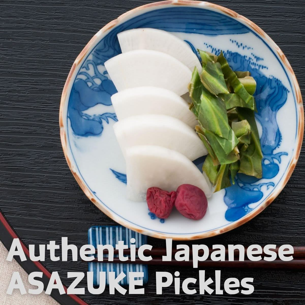 Tsukemoto Japanese Pickles Asazuke Pickling Seasoning Easy  Quick Pickling Powder 80g 282oz PLAIN