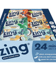 Zing Kids Protein Bars Variety Pack Gluten Free 100 Calorie Mini Bars with High Protein Vegan Nutrition Bars Dairy Free Plant Based Protein  24 count