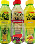 Iberia Aloe Vera Drink with Aloe Pulp and Chia Seeds 169 Ounce Pack of 6 2 X Watermelon  Acai 2 x Mango 2 x Pineapple