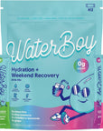 Waterboy Weekend Recovery Sample Pack | 3,200mg Electrolyte Powder Packets | Ginger + L-Theanine + Vitamins | No Sugar, All Natural, Gluten Free | 12 Drink Stick Mixes (Sample Pack)