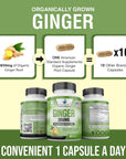 Ginger Root Capsules Organic 3850mg - 90 Veg Capsule