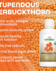 Dynamic Health Seabuckthorn Gold USDA Certified Organic Sea Buckthorn Omegas 3 6 9 No Additives Antioxidant Support Vegan GlutenFree Non GMO BPAFree 32 Fl oz