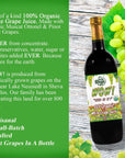 De La Rosa Organic White Grape Juice Kosher NonGMO  Gluten Free Austrian White Grape Juice No Preservatives or Sulfites Vegan White Grape Juice 254 Oz Glass Bottle Pack of 2