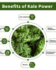 Hudetex Kale Powder Organic  Green Juice Powder for Kale DrinkSupports Immune System  Digestive FunctionKeep YouthRich in Dietary Fiber  Mineral Vegan 8oz