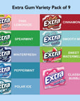 Extra Gum Variety 9 Pack of Sugar Free Gum Bubble Gum Chewing Gum Bulk Gum Packs Mint Gum Spearmint Gum Bubble Gum Bulk Cinnamon Gum Watermelon Gum Extra