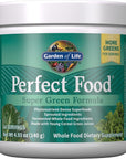 Garden of Life Perfect Food Super Green Formula - 14 Servings | 45 Superfoods, Greens, Fruit & Veggie Juice Superfood Powder Supplement, Probiotics & Organic Spirulina for Digestion & Immune Health