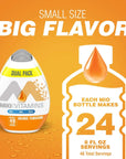 MiO Vitamins Orange Tangerine Naturally Flavored Liquid Water Enhancer 162 Fl Oz Pack of 2